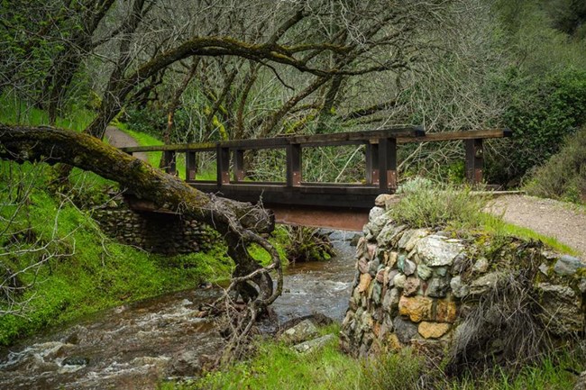 A bridge crosses the creek after winter rains.