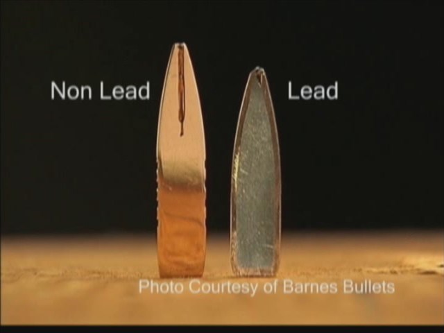 Nonlead bullet and lead bullet cross sections