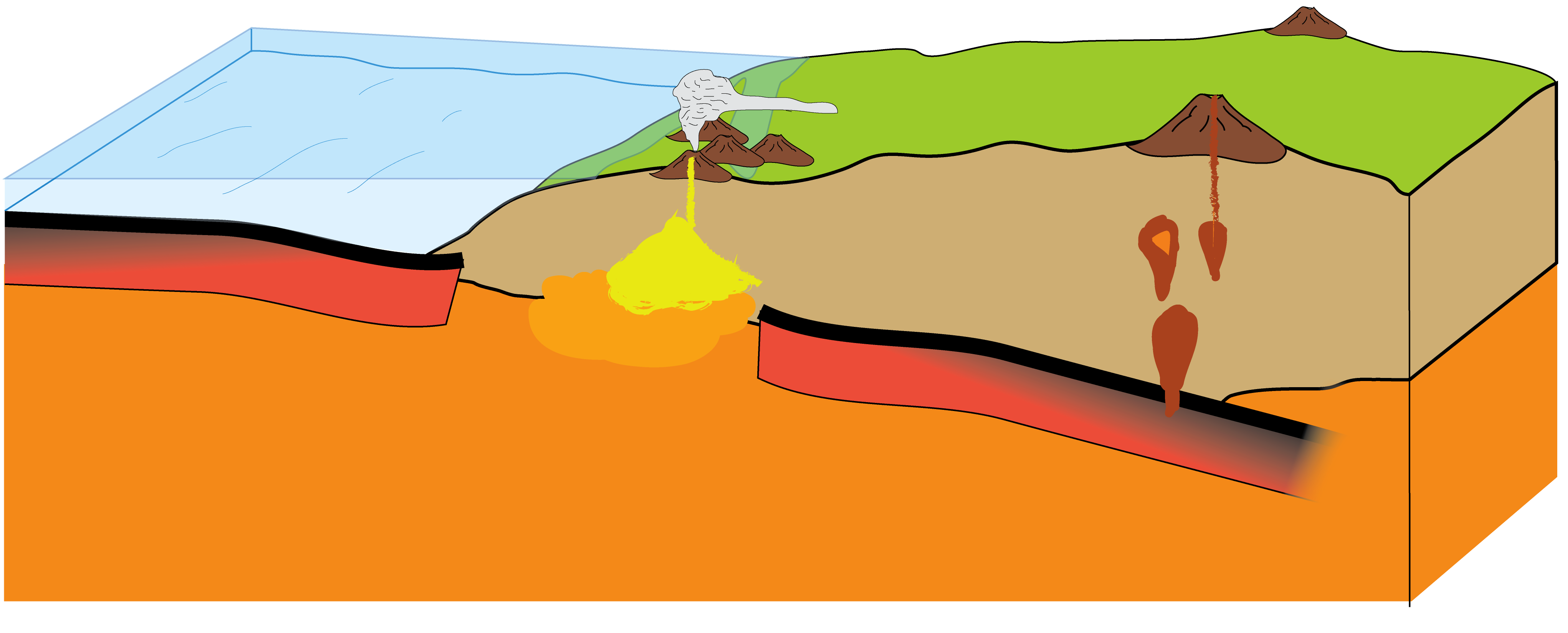 The spreading ridge is subducted beneath the continental plate.