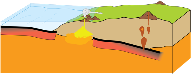 The spreading ridge is subducted beneath the continental plate.