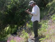 Nature and Science Nature and Science