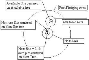 Nest site selection chart