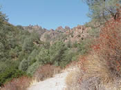 A View of the High Peaks from Condor Gulch Trail. A View of the High Peaks from Condor Gulch Trail.