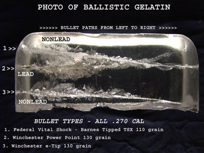 Lead Bullet Risks for Wildlife & Humans - Pinnacles National Park (U.S