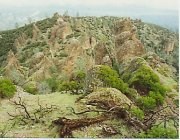 An image of green grass and rock formations. An image of green grass and rock formations.
