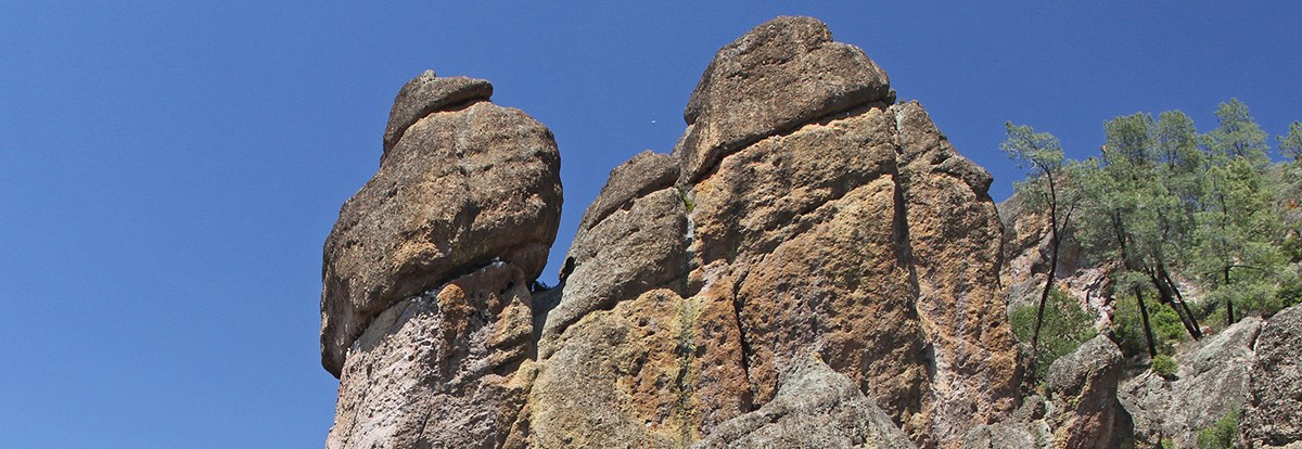 Brown and orange lichen growth on rocks at Pinnacles.