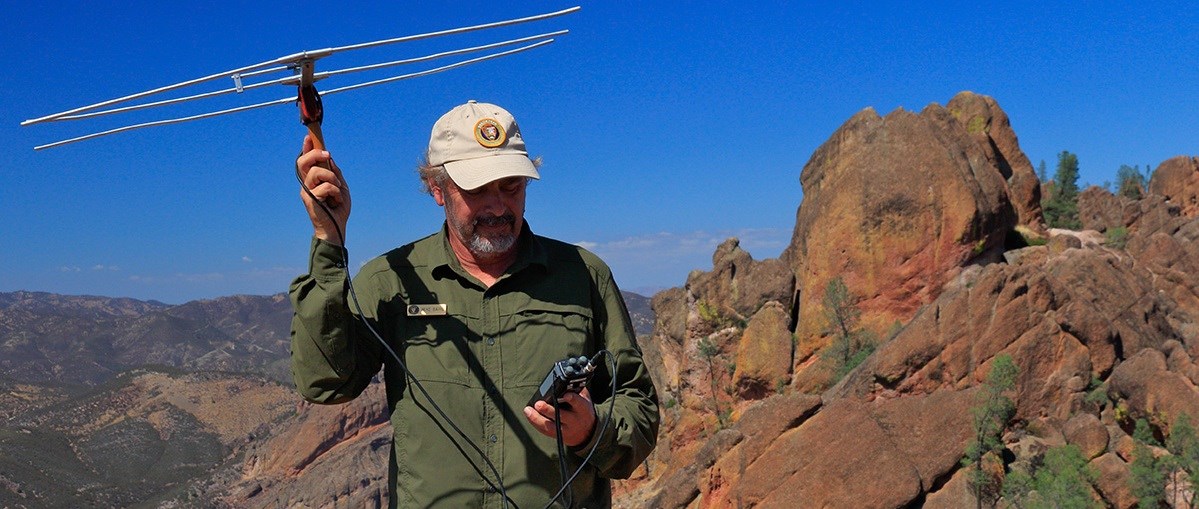 Volunteer tracking condors