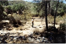 Vegetation plots