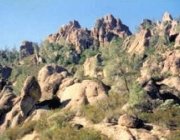 A section of the High Peaks