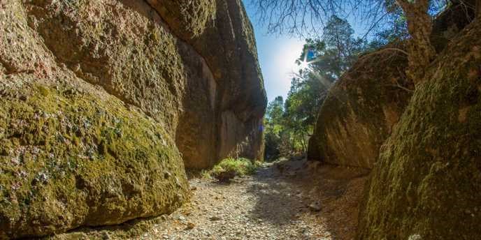 Basic Information - Pinnacles National Park (U.S. National ... - 688 x 344 jpeg 76kB