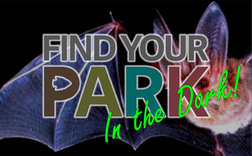 Find Your Park In The Dark logo over bat image Find Your Park In The Dark logo over bat image
