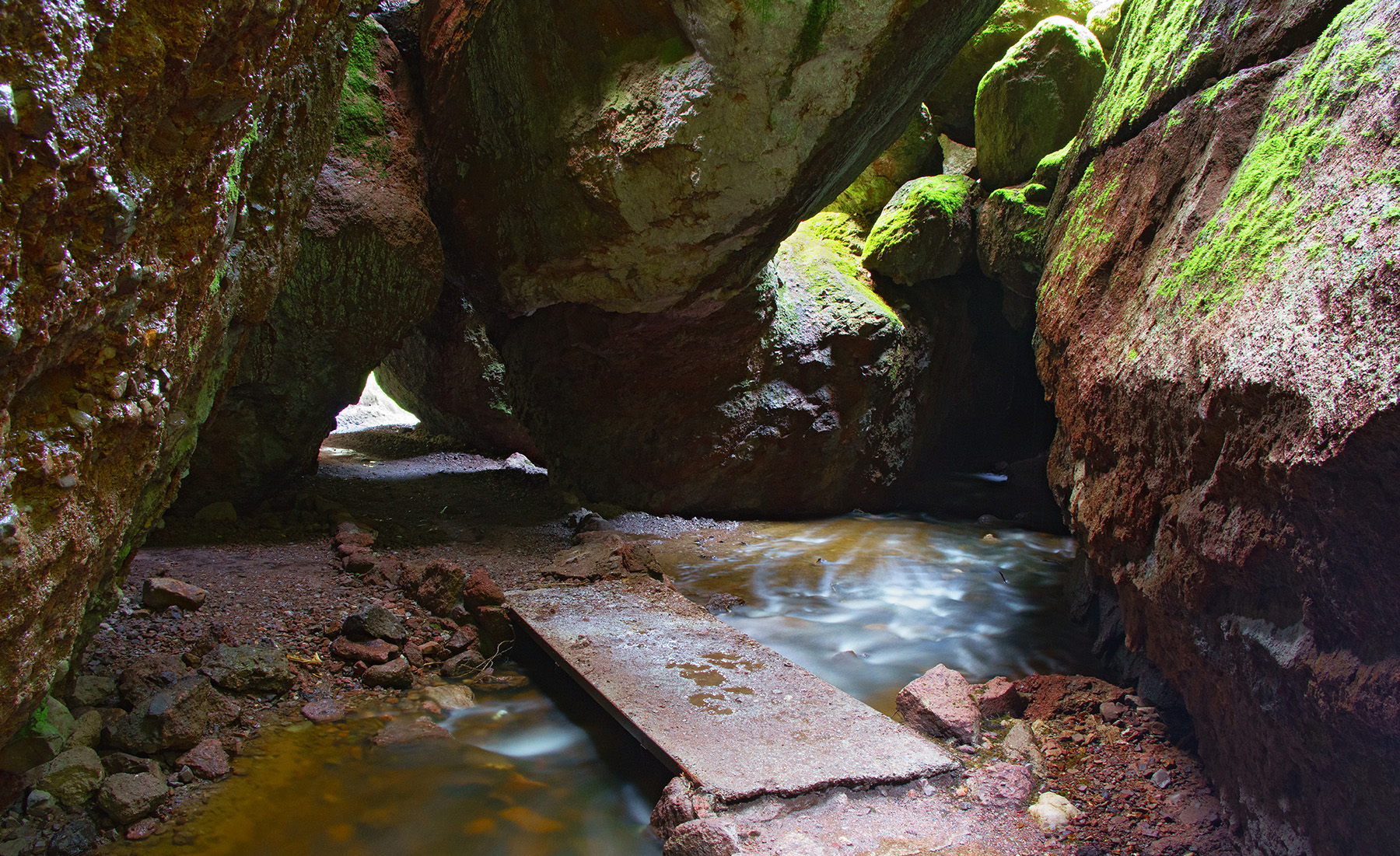 Pinnacle Natural Area Preserve, We enjoy the 1 mile walk al…