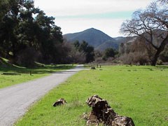 Tent sites at the Pinnacles Campground