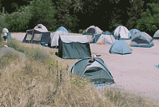 Group Camping - Pinnacles National Park (U.S. National Park Service)