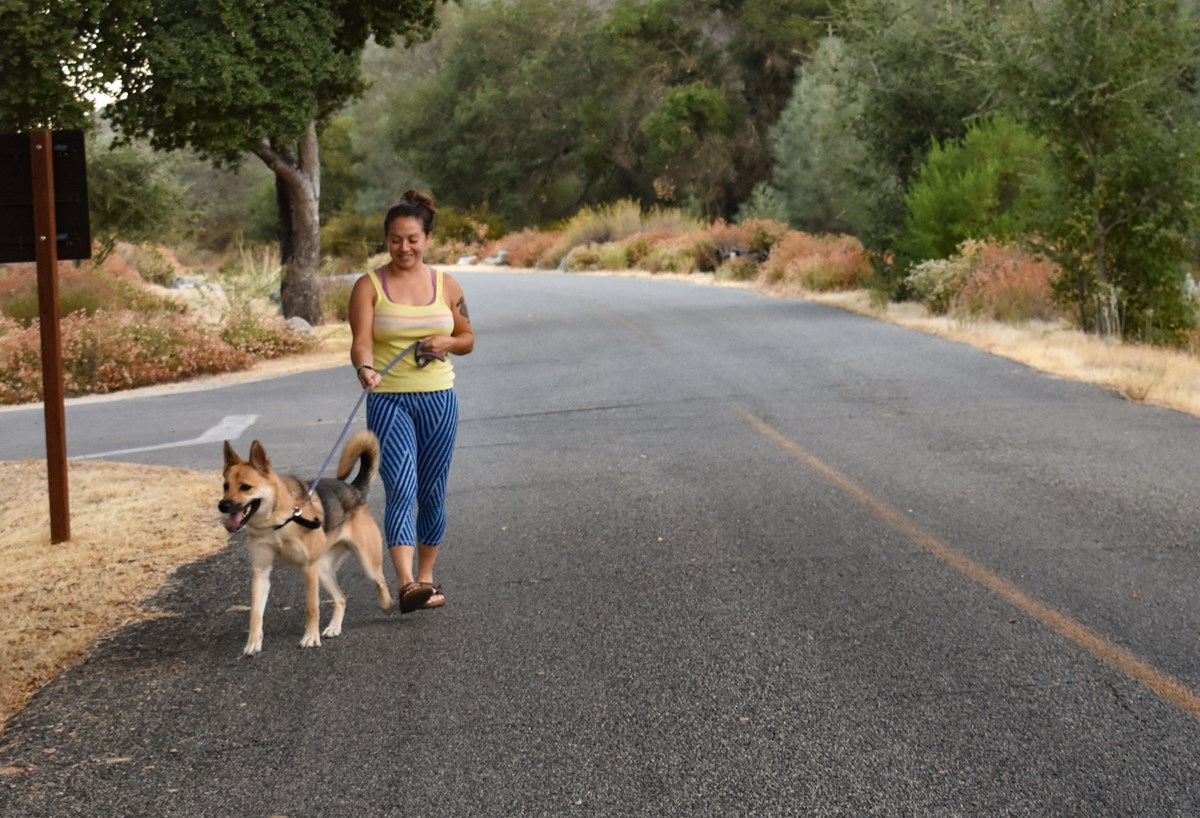 A woman walks her dog on the side of the road.