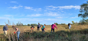 Volunteers collecting native plant seeds at Pipestone National Monument