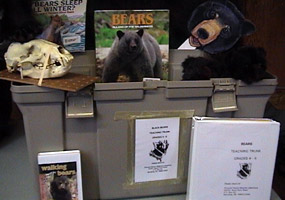 The bear teaching trunk contains lessons and hands-on items to help teachers and learners discover more about black bears.