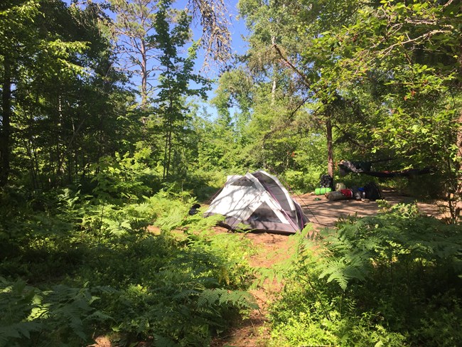 Benchmark Backcountry Campsite with tent