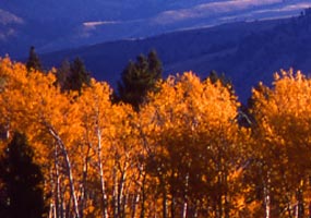 Magnificent fall color and mountains at this National Park invite you to Experience Your America. Magnificent fall color and mountains at this National Park invite you to Experience Your America.