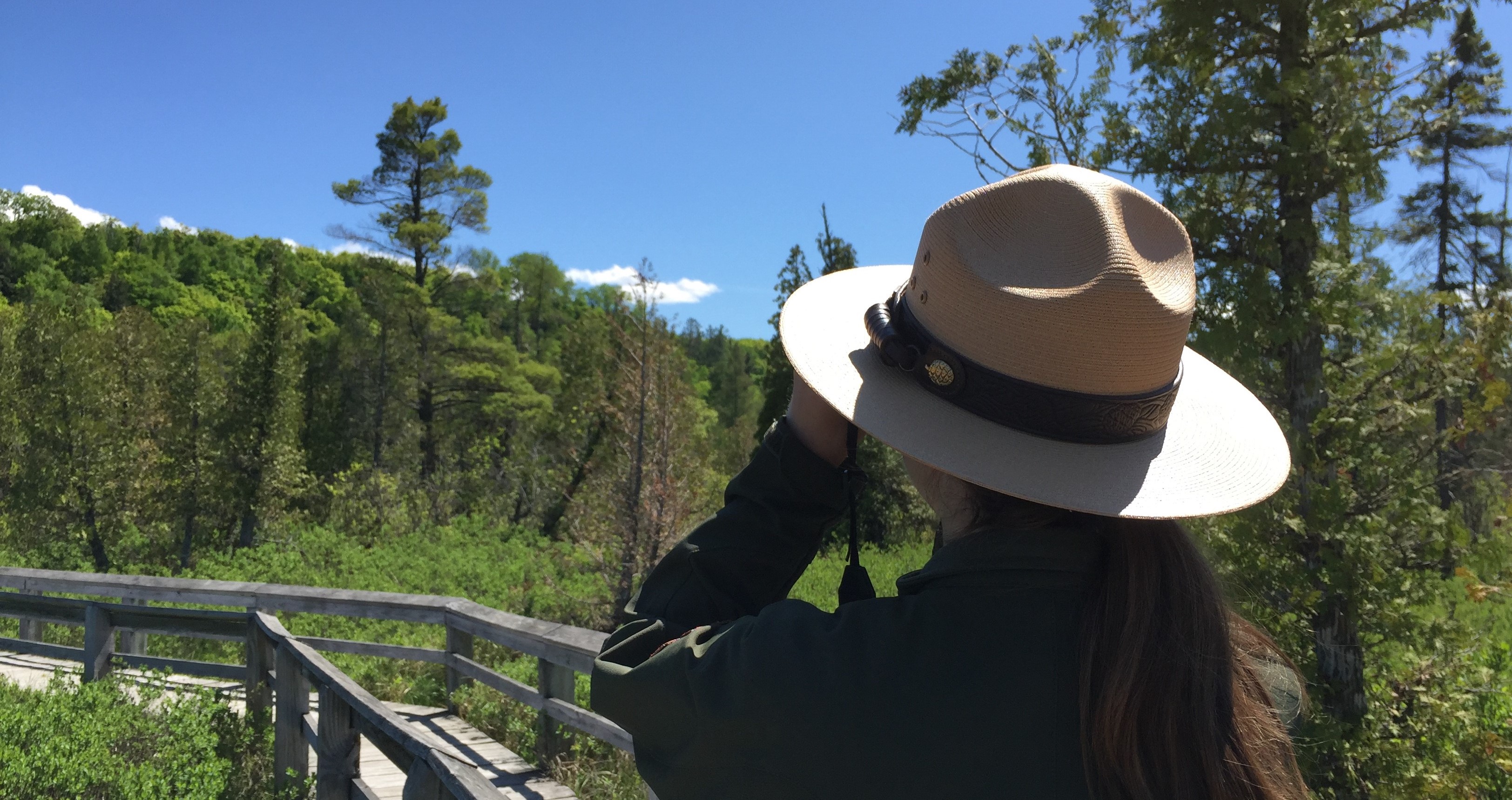 A park ranger looks through binoculars in a marsh.