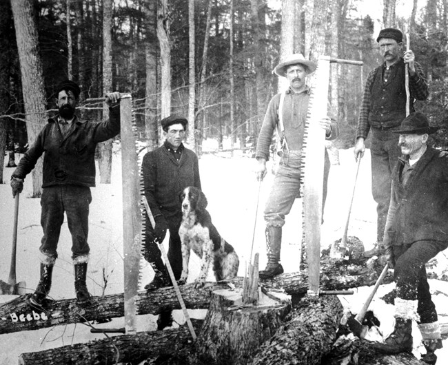 A group of men pose with the two person crosscut saws