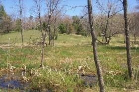 New spring grass growth is occurring in an old farm site within the park. New spring grass growth is occurring in an old farm site within the park.