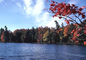 Brilliant fall color along an inland lake. Brilliant fall color along an inland lake.