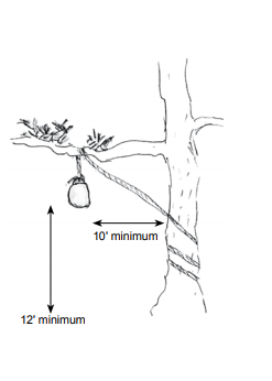 An image of how to properly store a food bag from bears in a tree 12 feet off the ground on a limb.