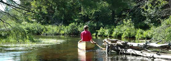 Canoeing in the Beaver Basin Wilderness.