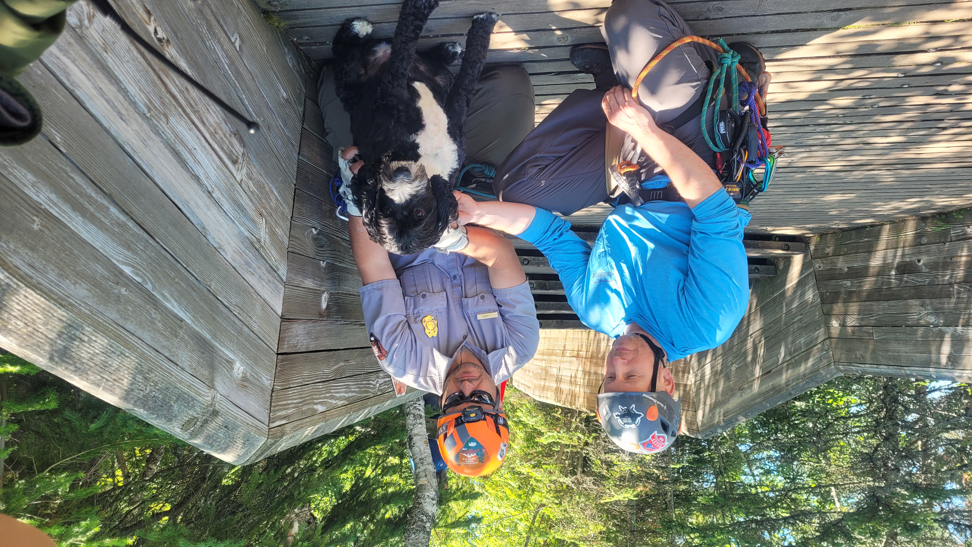 A medium sized black and white dog sits on wooden platform with two rescuers