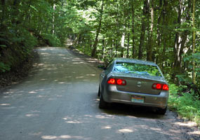 Little Beaver Lake Road winds through the forest.