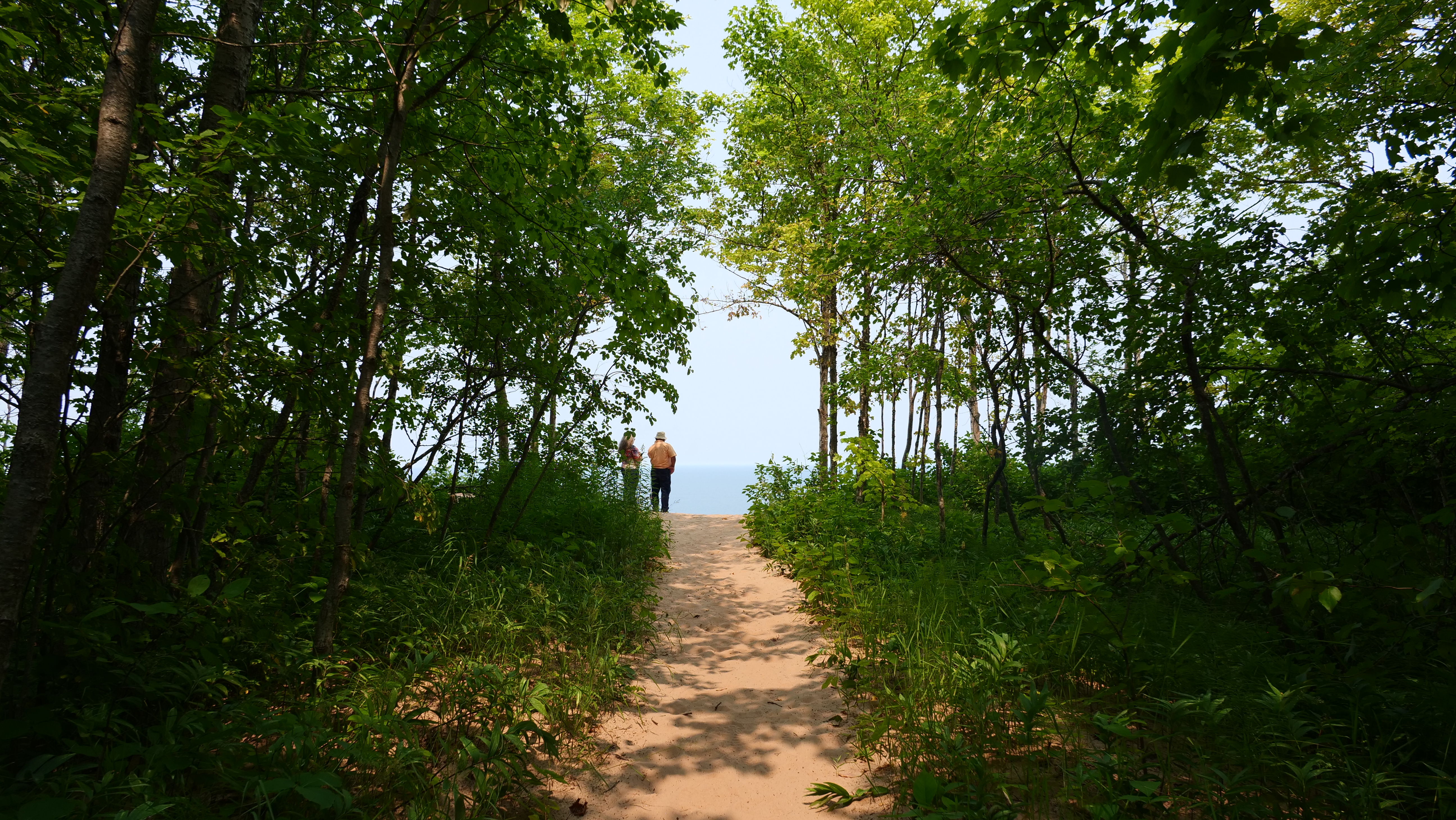 Two visitors stand at the edge of a sand dune, as viewed from a distance through trees.