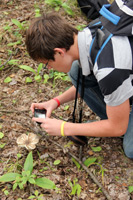 Parks In Focus, photo by Elena, 2011