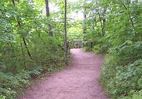 This trail leads to Sable Falls.