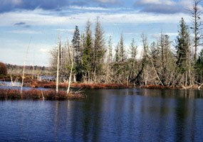 Clear waters of a pond in the Beaver Basin Wilderness