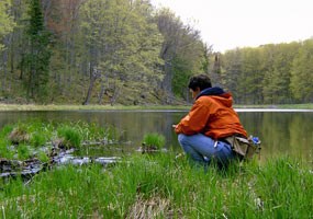 Visitor to the Beaver Basin ponders the edge of a peaceful pond.