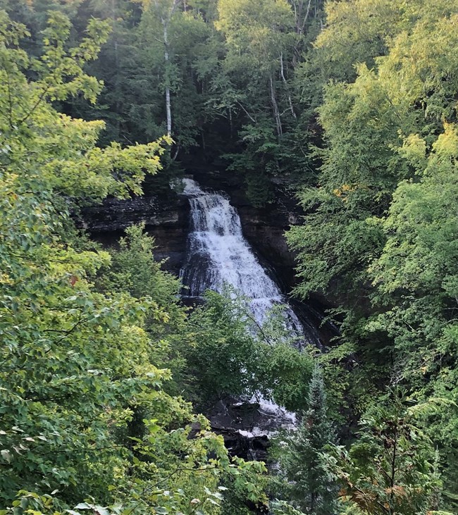 Waterfall cascaded down steep sloping rock surrounded by thick green forest vegetation