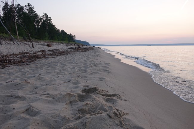 A beach at sunset with some footprints and debris on the sand.