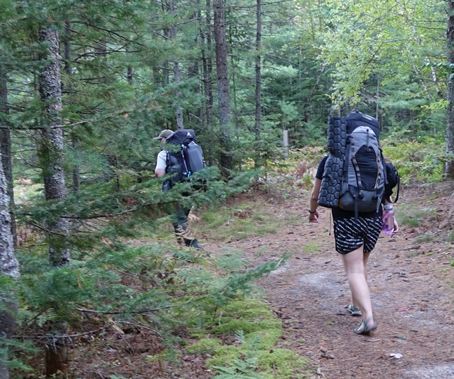 Two backpackers on a trail in the woods