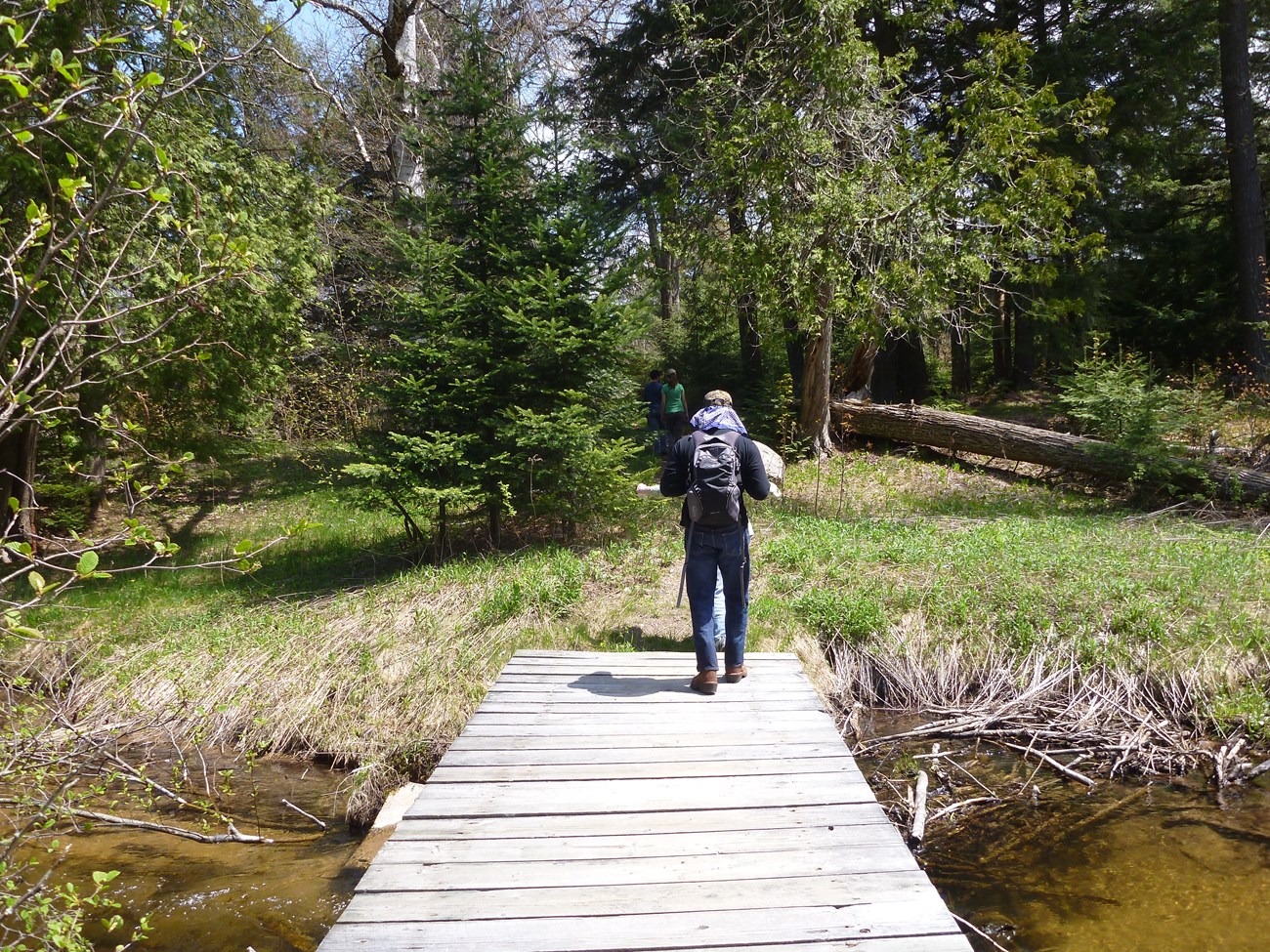 Hiker in Beaver Basin