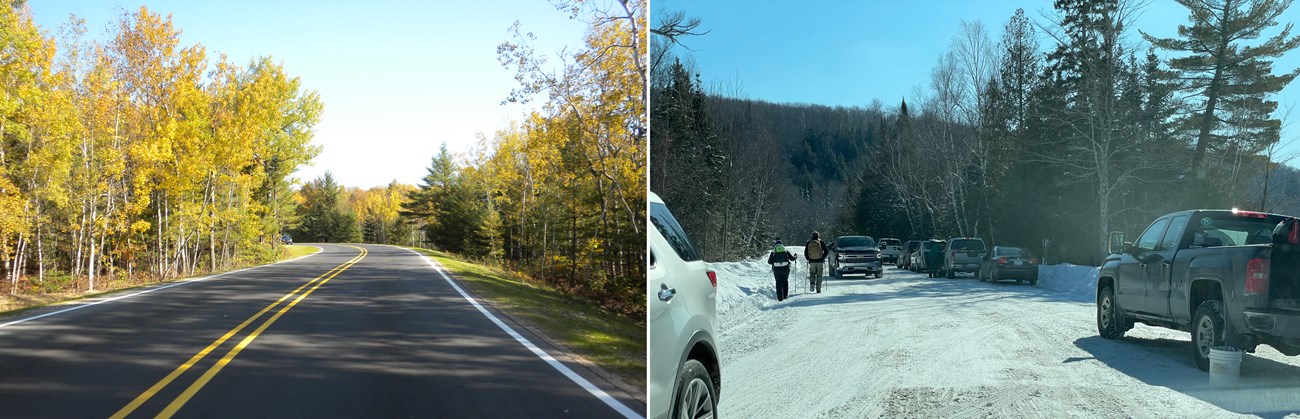 2 scenes: yellow trees line the road. Cars and people crowd a snow-covered road.