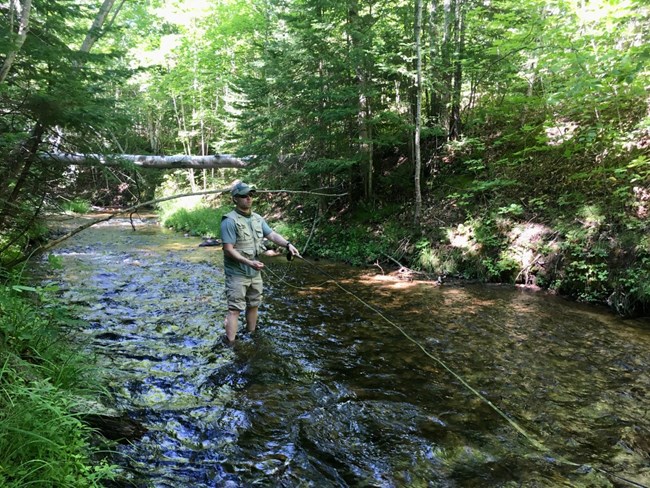 Fisherman standing in the middle of a creek, casting a fly rod