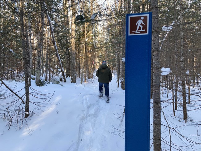 Person snowshoeing through the forest on a marked snowshoe trail.