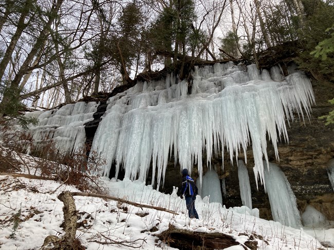 Person looking at the curtains of ice that form off the sandstone cliff in the woods.