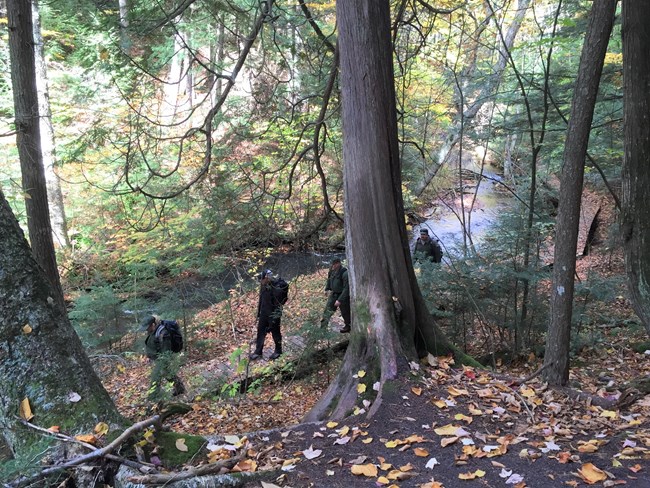 Four hikers walking on a trail in the woods adjacent to creek.