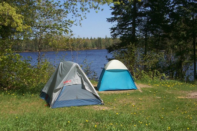 Tents at Lowney Creek backcountry site