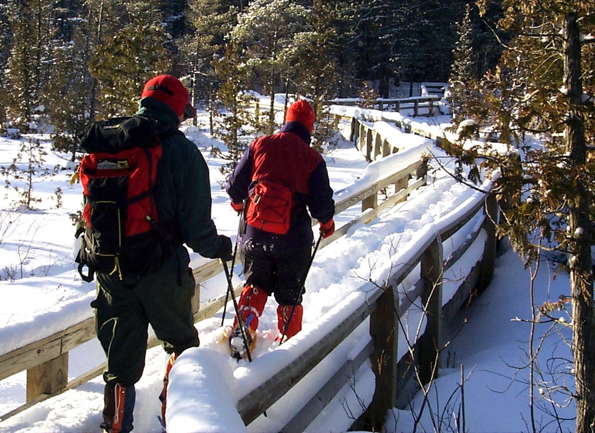 Visitors snowshoeing on the Marsh Trail boardwalk on a sunny winter day.