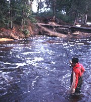 A fisherman tries his luck on the Miners River. A fisherman tries his luck on the Miners River.