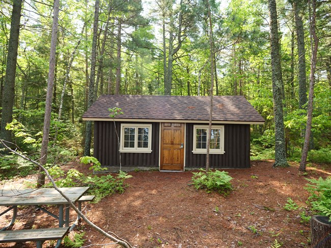 A brown cabin in a wooded clearing