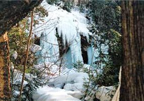 Spectacular ice columns shine along the trees. Spectacular ice columns shine along the trees.